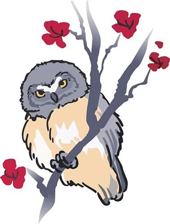JUVENILE SAW WHET OWL