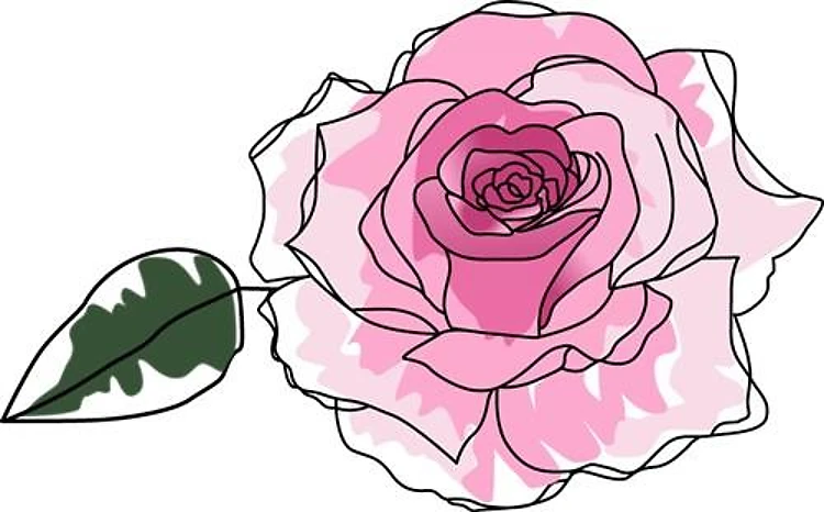 ENGLISH ROSE