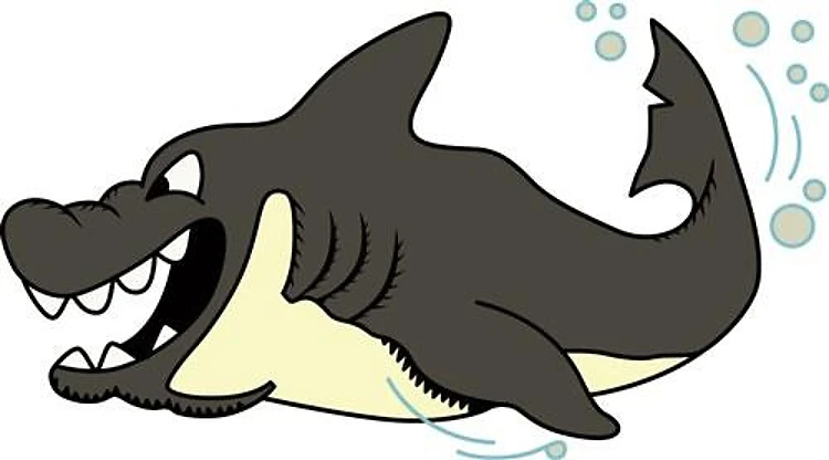 SHARK