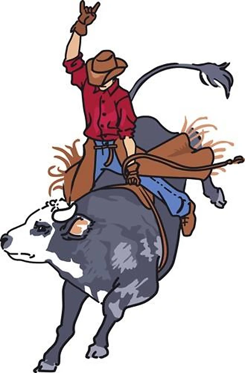 BULL RIDER