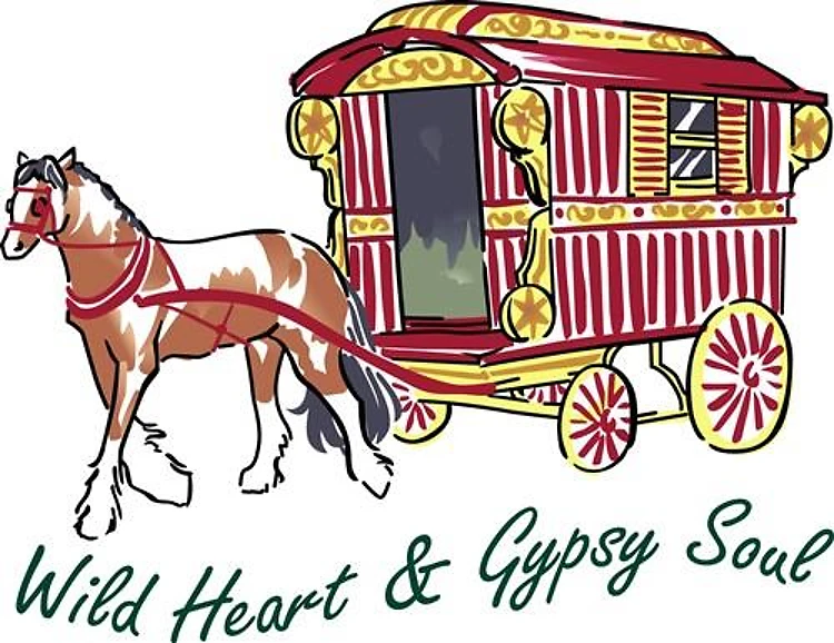 WILD HEART GYPSY SOUL