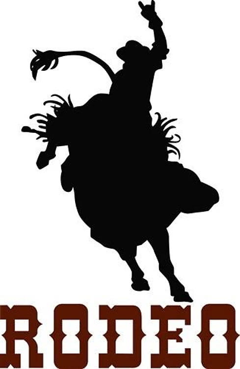 RODEO BULL RIDER