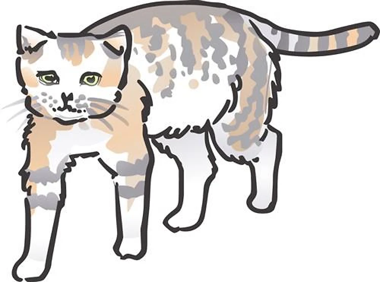 SAND CAT