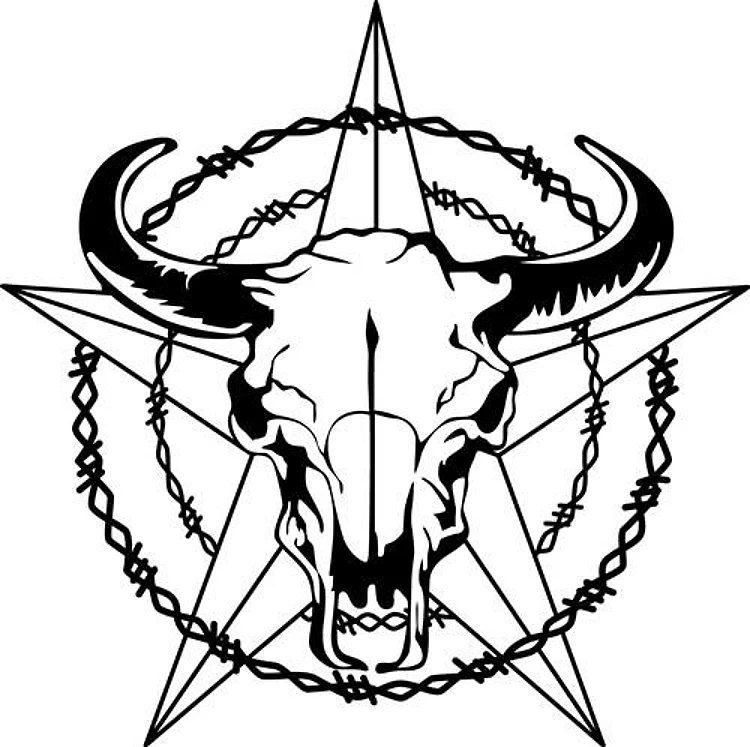 WESTERN STEER SKULL