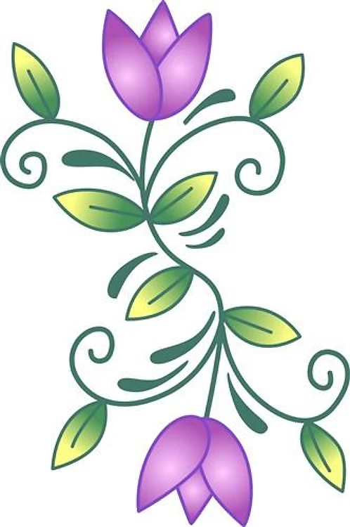 TULIP FOUR