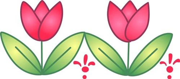 TULIP FIVE