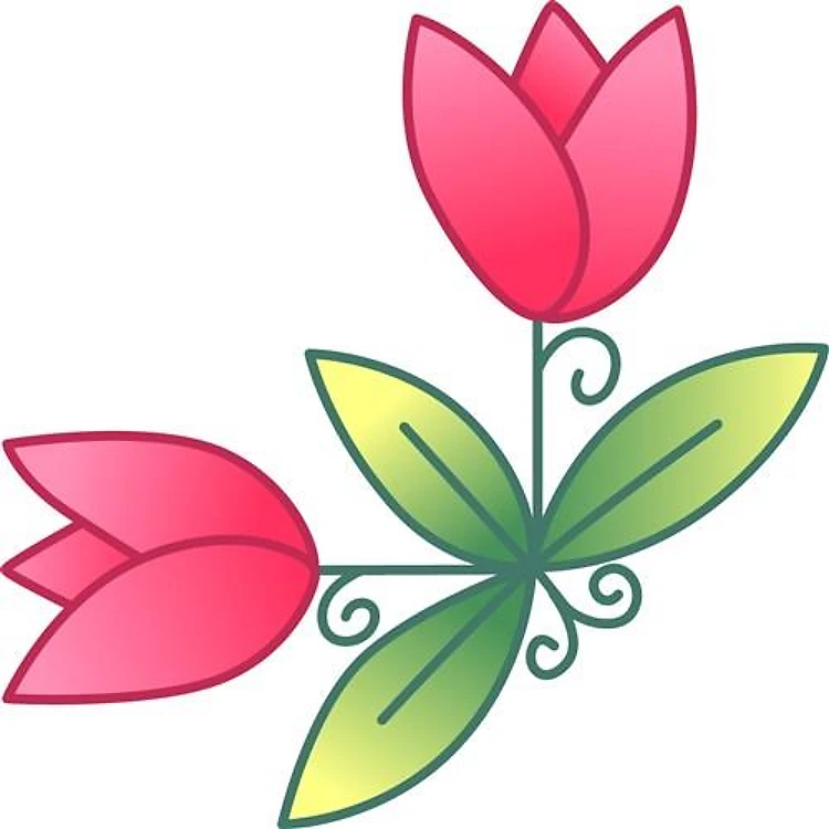 TULIP TWENTY