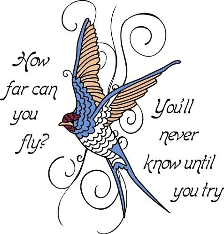 HOW FAR CAN YOU FLY