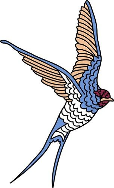 SWALLOW