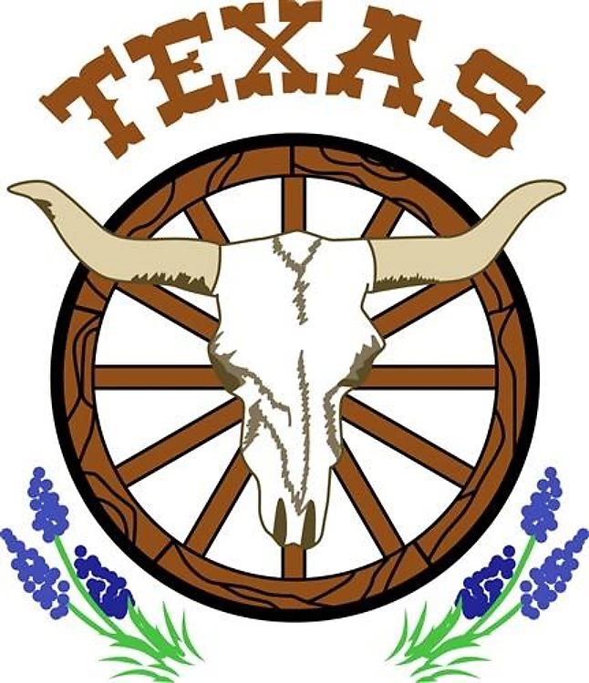 TEXAS STEER SKULL