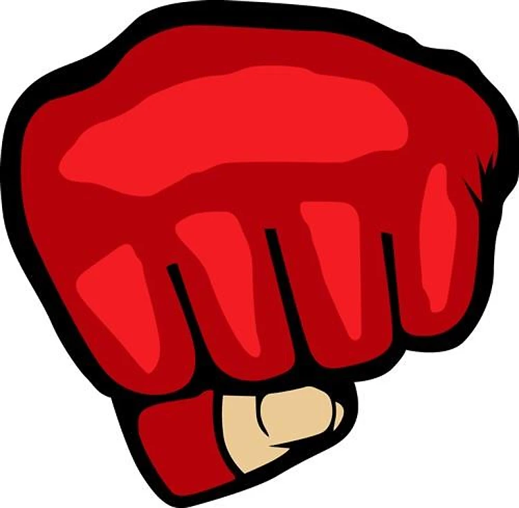 MMA FIST