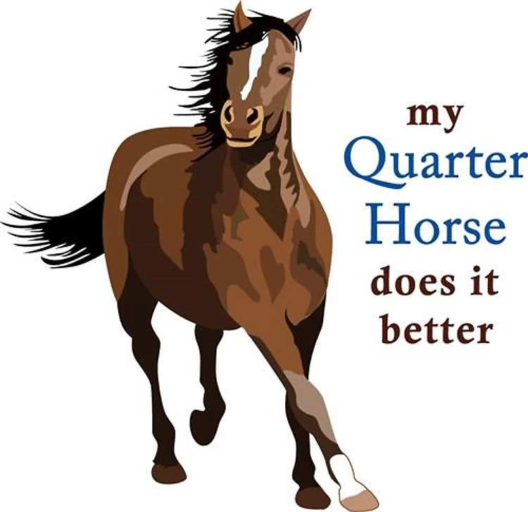 MY HORSE DOES IT BETTER