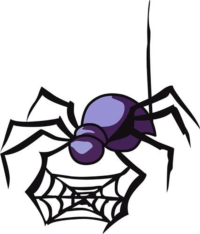 SPIDER