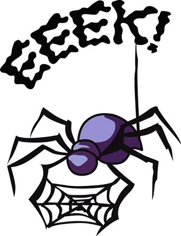 SPIDER EEEK