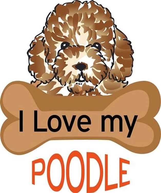 Love My Poodle