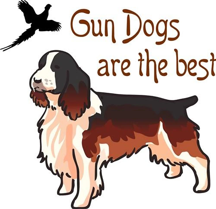 Gun Dogs Are Best