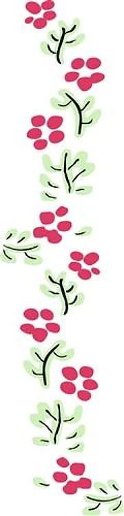 Flower Border