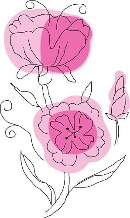 Watercolor Peonies