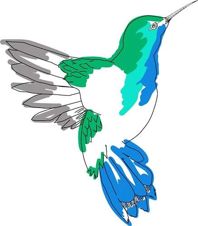 Hummingbird