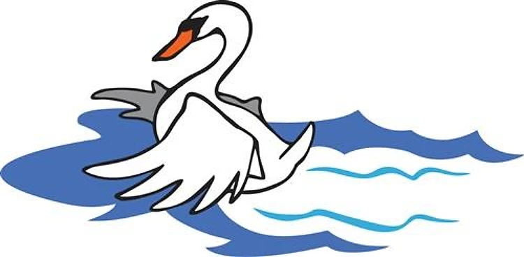 Swan