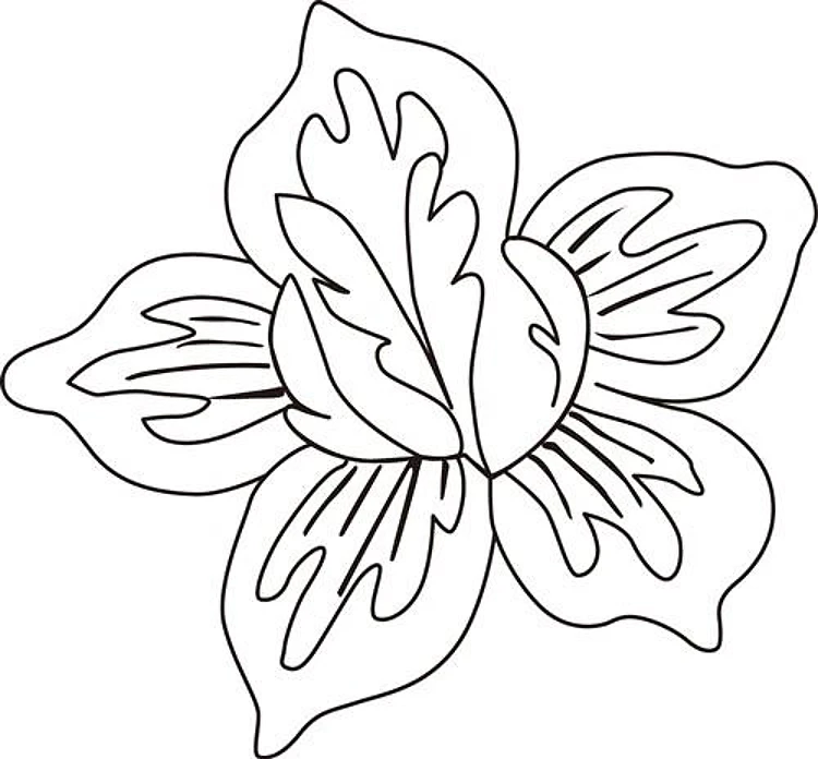 Flower Accent
