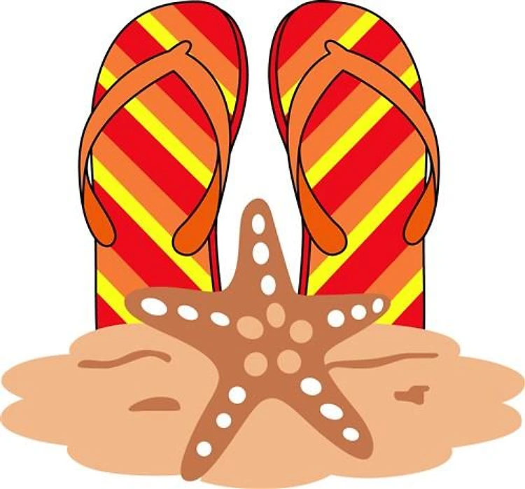 Flip Flops