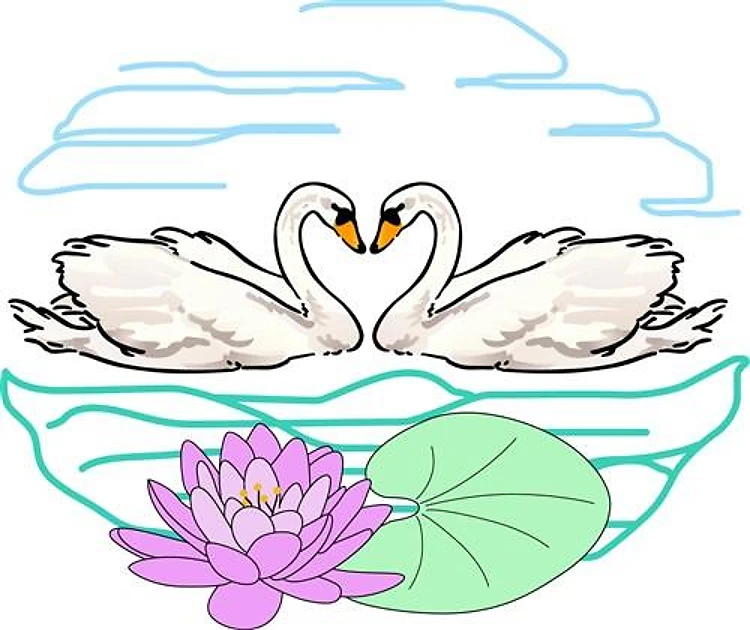 Swans & Lily