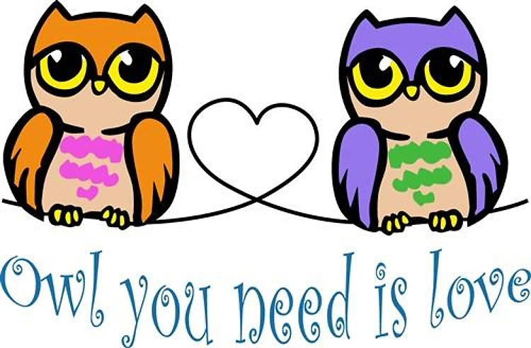 Owl You Need