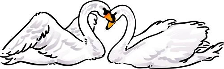 Love Swans