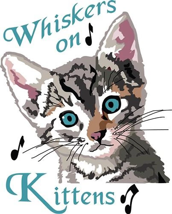 Whiskers On Kittens