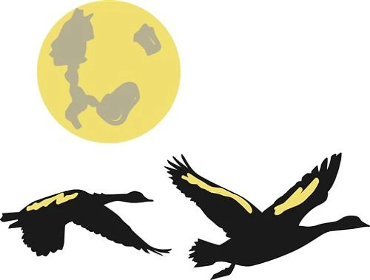 Geese & Moon