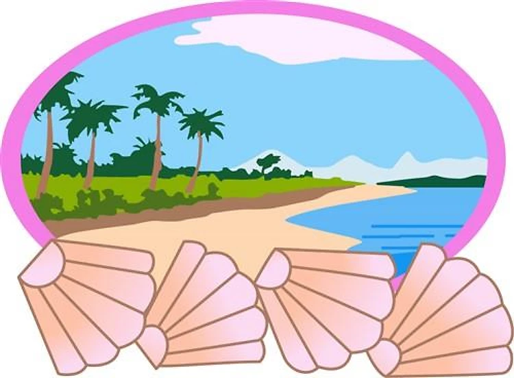 Seashell Beach