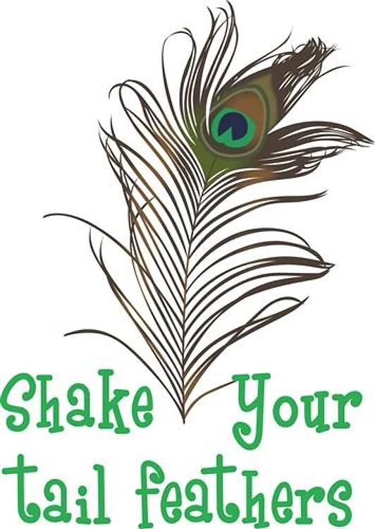 Tail Feathers
