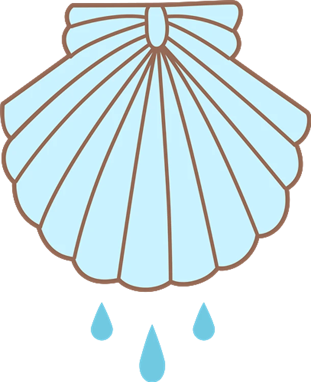 Baptism Shell Applique