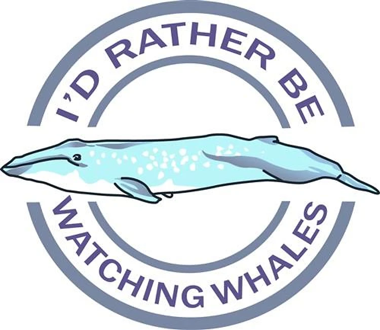 Watching Whales