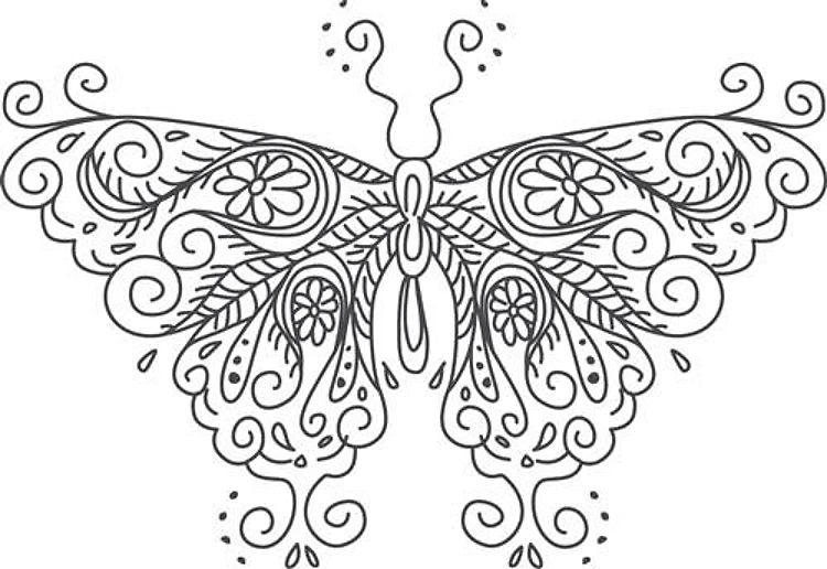 Butterfly Linework