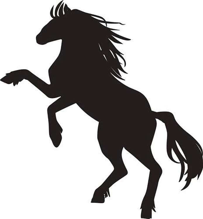 Rearing Horse