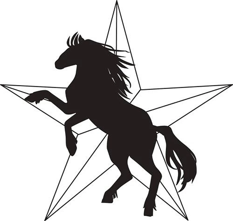 Western Horse