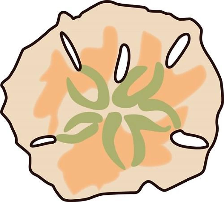 Sand Dollar