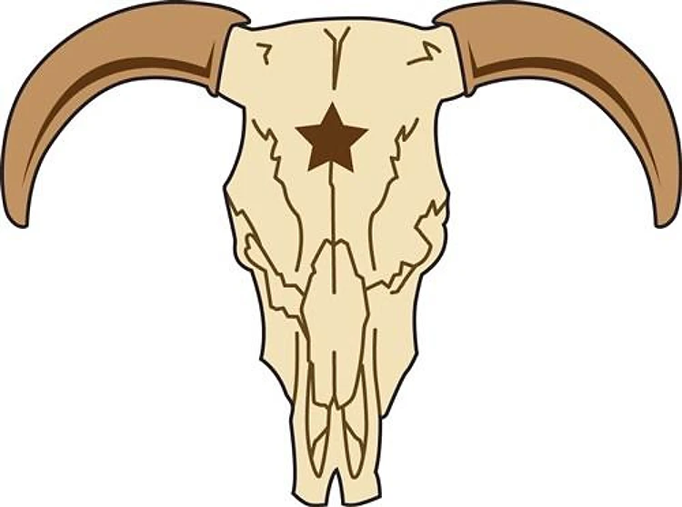Bull Skull