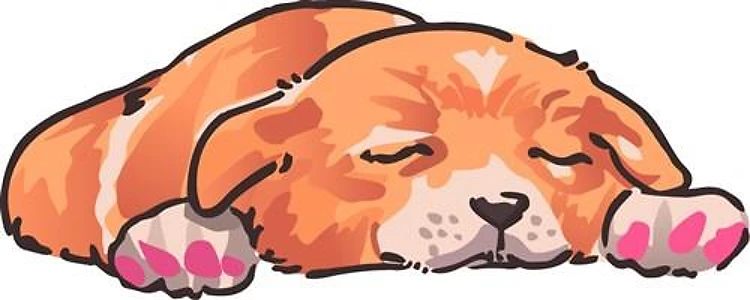 Sleeping Dog