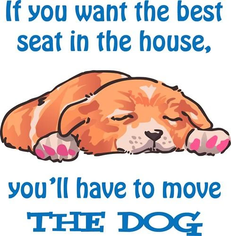 Sleeping Dog
