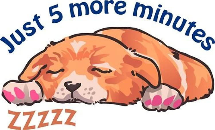 Sleeping Dog
