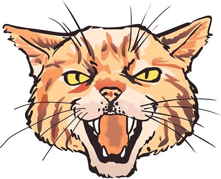 Wildcat Mascot