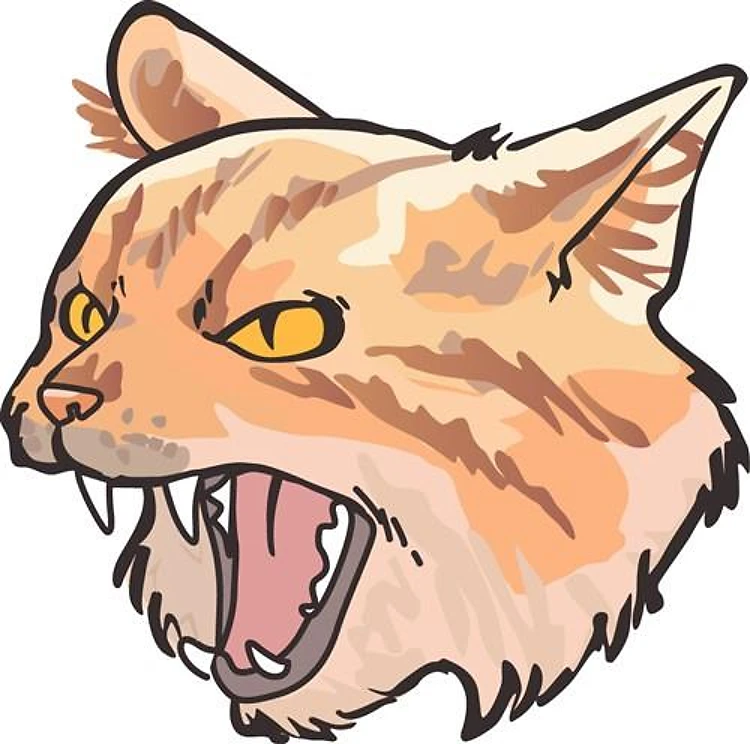 Wildcat Mascot