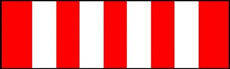 Vietnam Special Service