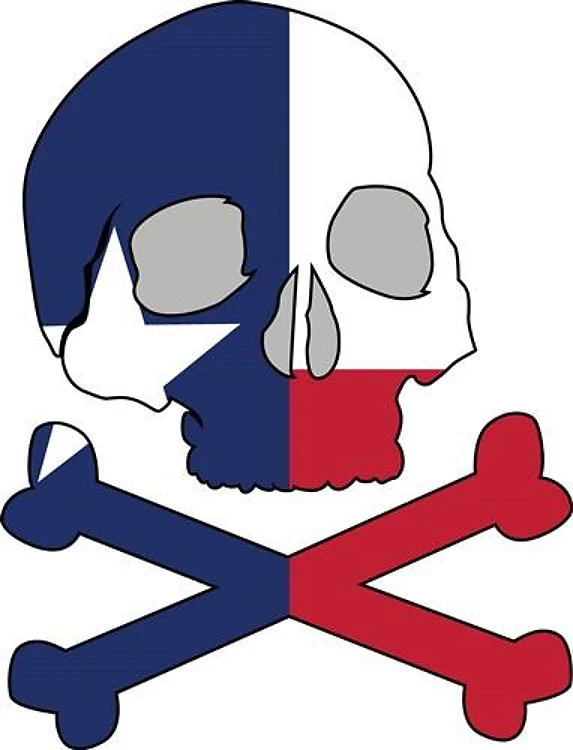 Texas Skull Flag