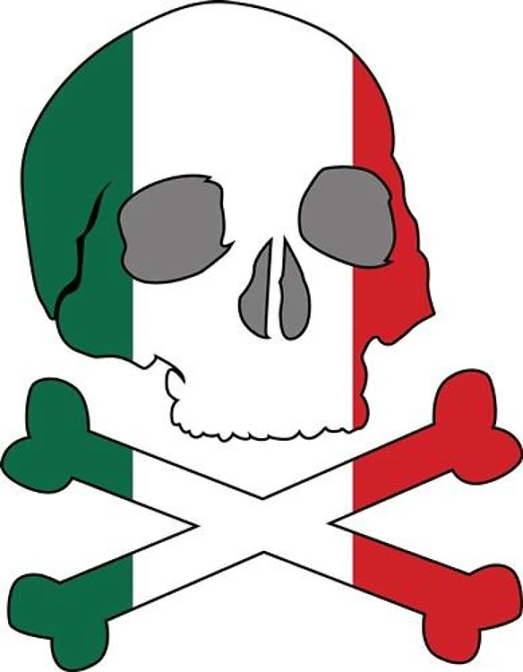 Italy Flag Skull
