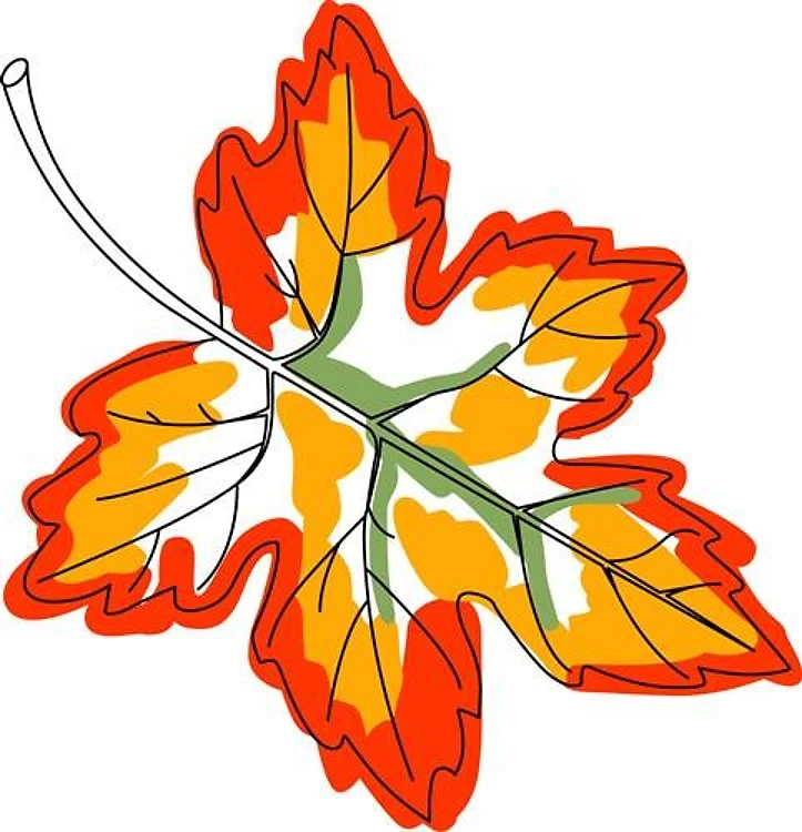 Maple Fall Leaf