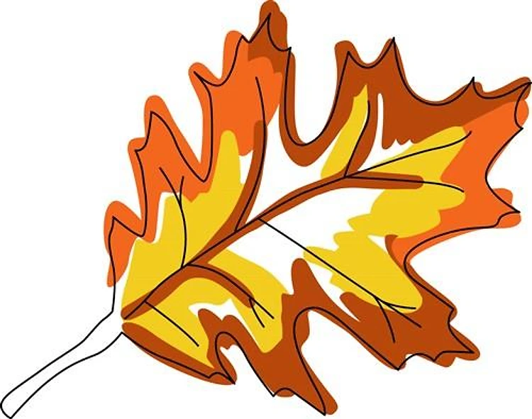 Oak Fall Leaf